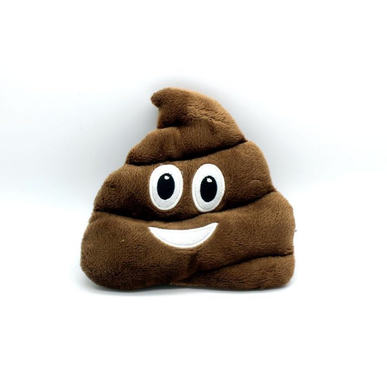 poop emoji pillow kmart